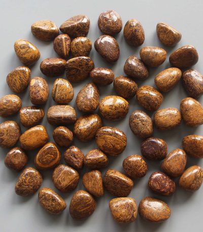 Brown & Yellow Jasper Tumble Stone 1 inch (2-3cm) A