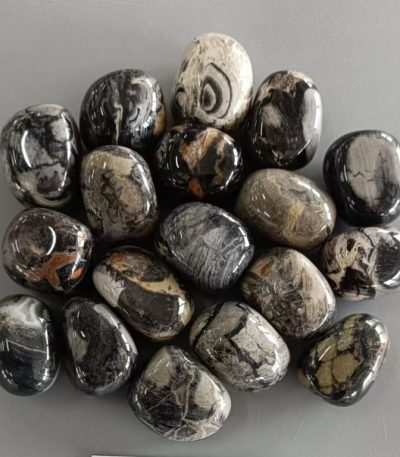 Silver Leaf Jasper Tumble Stone 1 inch (2-3cm) A