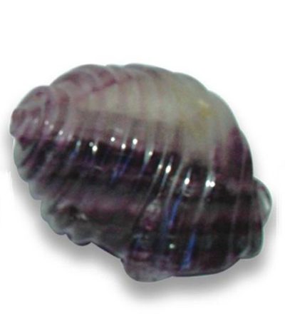 Rainbow Fluorite Shell2 2 inch (5cm) A/A+