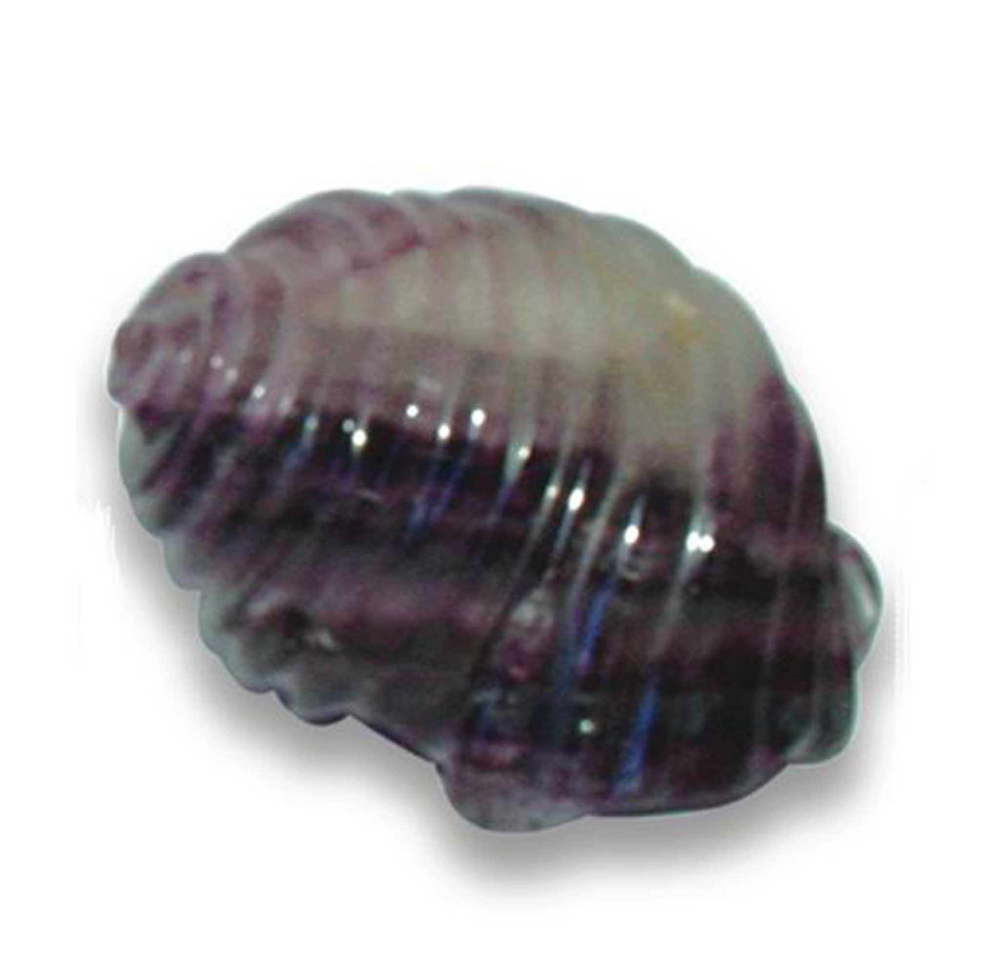 0c520fb79bcd21d9f9507da396f14572-1 Rainbow Fluorite Shell2 2 inch (5cm) A/A+