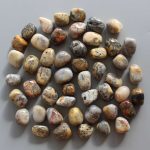 Crazy Lace Yellow Agate Tumble Stone 1 inch (2-3cm) A/B