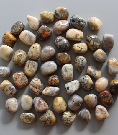 Crazy Lace Yellow Agate Tumble Stone 1 inch (2-3cm) A/B
