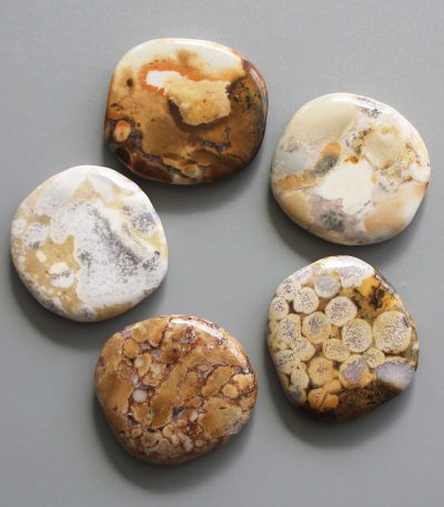 Cobra Jasper Smooth Stone 1.6 inch (0.8-1 x 3.5-4.5cm) A