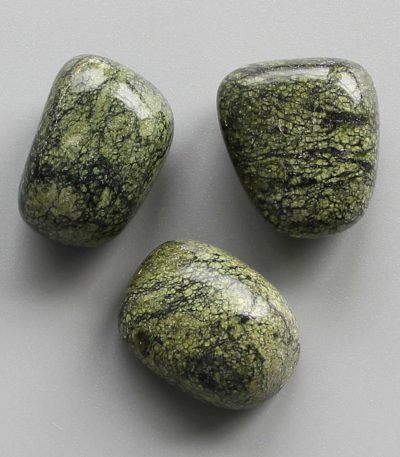 Green Snake Skin Jasper Tumble Stone 1 inch (2-3cm) A