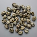 Dalmatian Jasper Tumble Stone 1 inch (2-3cm) A