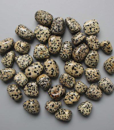 Dalmatian Jasper Tumble Stone 1 inch (2-3cm) A