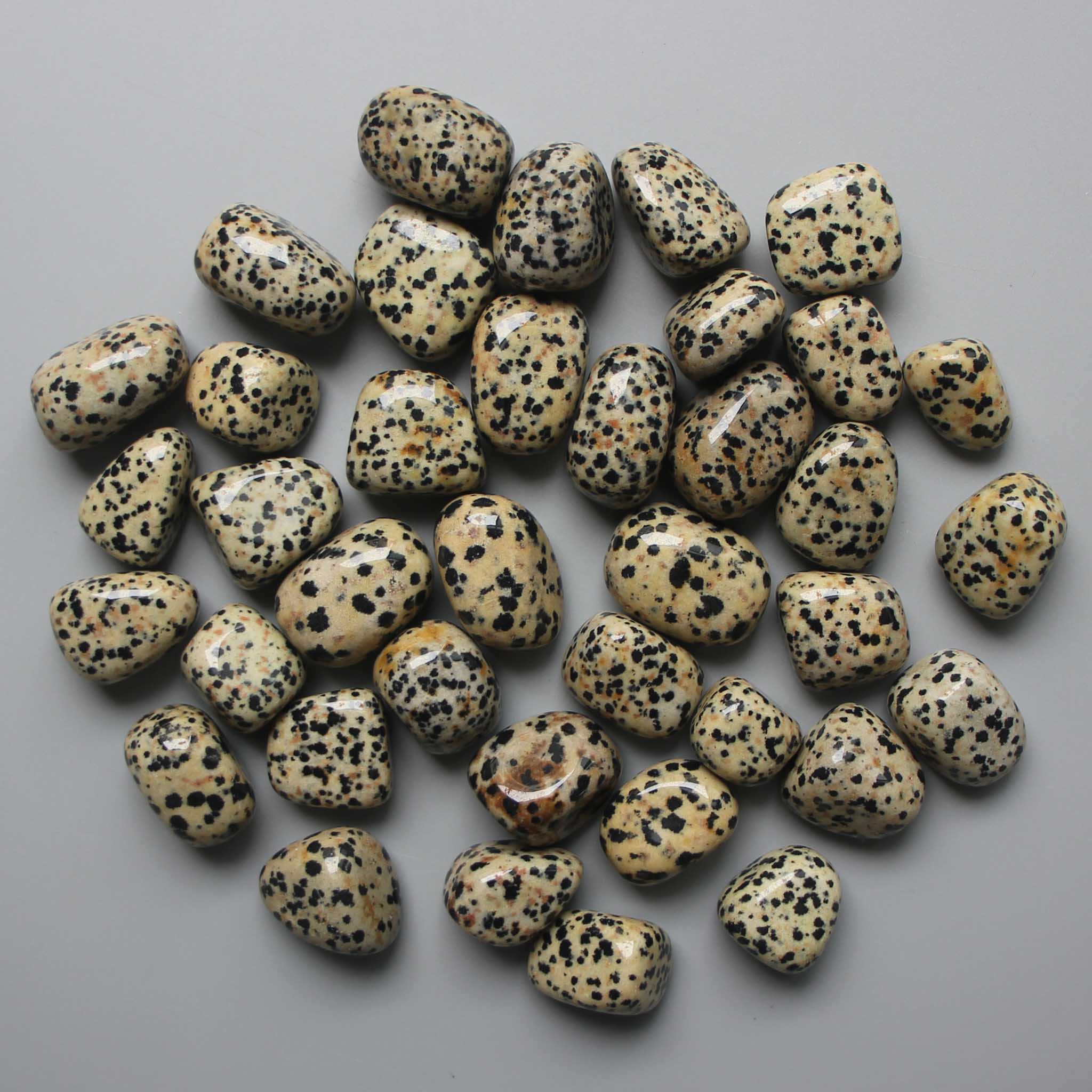 204086fab35e846d33fe248e45023003-1 Dalmatian Jasper Tumble Stone 1 inch (2-3cm) A