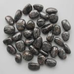 Arfvedsonite Tumble Stone 1 inch (2-3cm) A/B