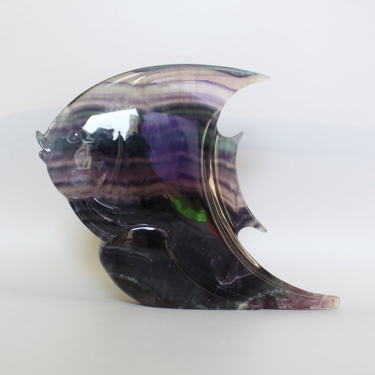 Blue Purple Rainbow Fluorite Angelfish 200mm AA