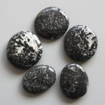 Orbicular Granite Smooth Stone 1.6 inch (0.8-1 x 3.5-4.5cm) A