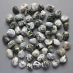Tree Agate Tumble Stone 1 inch (2-3cm) A/B