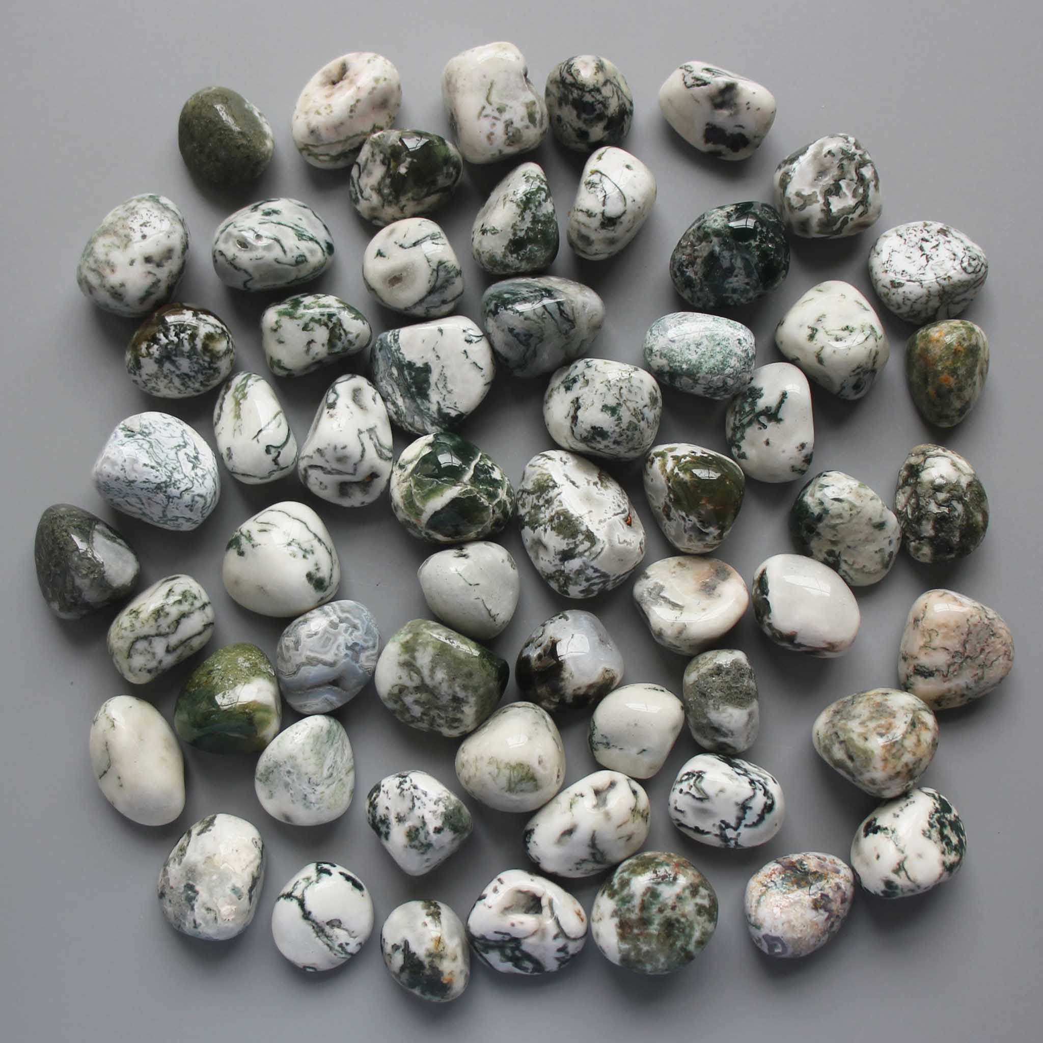 31e8d5e8f92ff85417cca775431af5f1_be03f55c-ce61-4d8b-8a9e-defa647e154d Tree Agate Tumble Stone 1 inch (2-3cm) A/B