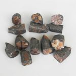 Chiastolite Natural Wand Shape With 1 Side Polished 1.6-2.8inch (2.5-3.5 x 4-7cm) A