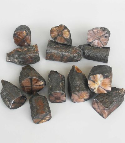 Chiastolite Natural Wand Shape With 1 Side Polished 1.6-2.8inch (2.5-3.5 x 4-7cm) A
