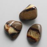 Septaria Tumble Stone 1 inch (2-3cm) A