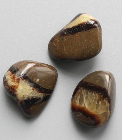 Septaria Tumble Stone 1 inch (2-3cm) A