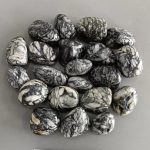 Pinolith Tumble Stone 1 inch (2-3cm) A