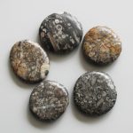 Shell Fossil Jasper Smooth Stone 1.6 inch (0.8-1 x 3.5-4.5cm) A