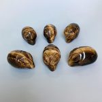 Golden Tiger Eye ET Head P 2.4 inch（ 6cm） A