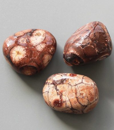 Birds Eye Jasper Tumble Stone 1 inch (2-3cm) A