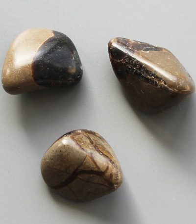 Septaria Tumble Stone 1 inch (2-3cm) B