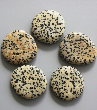 Dalmatian Jasper Smooth Stone 1.6 inch (0.8-1 x 3.5-4.5cm) A