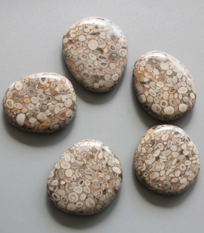 Fossil Jasper Smooth Stone 1.6 inch (0.8-1 x 3.5-4.5cm) A