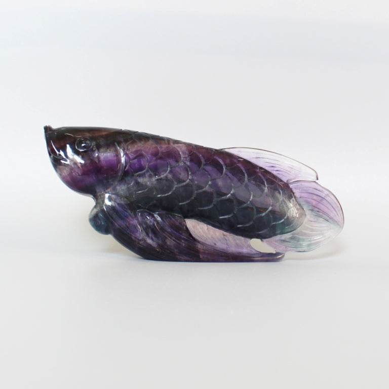 692aa00928e1899d699c688315356e6d_0eb9511d-1e77-406f-aff2-ea3d28807204 Blue Purple Rainbow Fluorite Fish 150mm AA