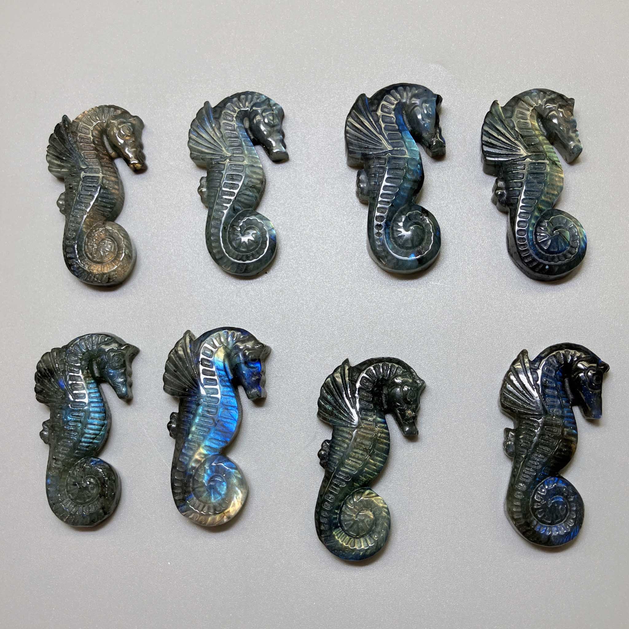 6c3431ceddcd082530d2a0dff57c9391-1 Labradorite Seahorse 8/10×23/25×46/48mm AA