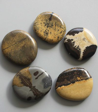 Dragon Picture Jasper Smooth Stone 1.6 inch (0.8-1 x 3.5-4.5cm) A