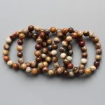 Petrified Wood Round Bracelet 18cm 10mm A