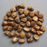 Picture Jasper Tumble Stone 1 inch (2-3cm) A