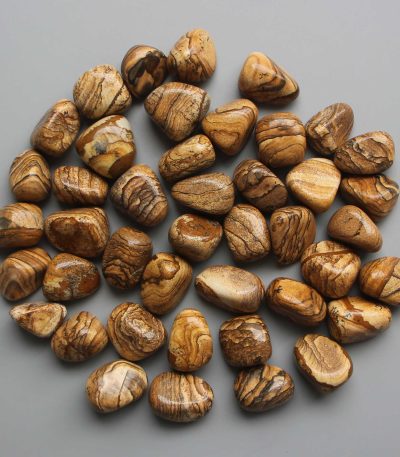 Picture Jasper Tumble Stone 1 inch (2-3cm) A