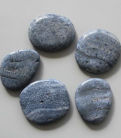 Blue Coral Smooth Stone 1.6 inch (0.8-1 x 3.5-4.5cm) A