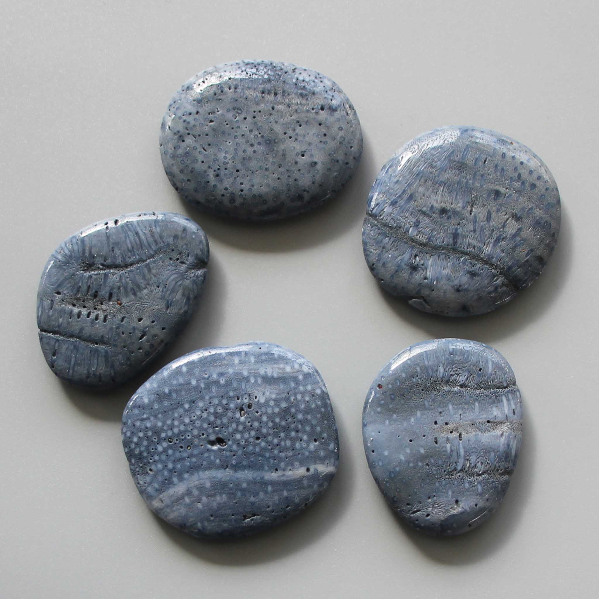 78e10639f1157732f36333eacd4a0936-1 Blue Coral Smooth Stone 1.6 inch (0.8-1 x 3.5-4.5cm) A