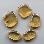 Yellow Calcite Smooth Stone 1.6 inch (0.8-1 x 3.5-4.5cm) A+/AA