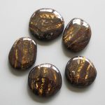 Tiger Iron Australia Smooth Stone 1.6 inch (0.8-1 x 3.5-4.5cm) A+/AA