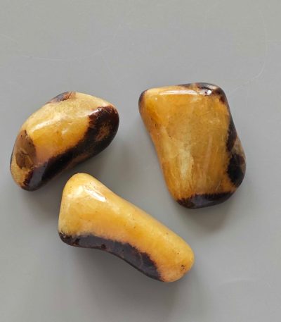 Septaria Tumble Stone 1 inch (2-3cm) A+/AA