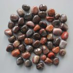 Petrified Wood Tumble Stone 1 inch (2-3cm) A