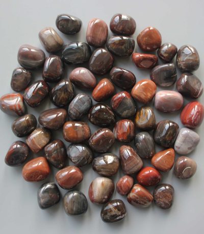 Petrified Wood Tumble Stone 1 inch (2-3cm) A