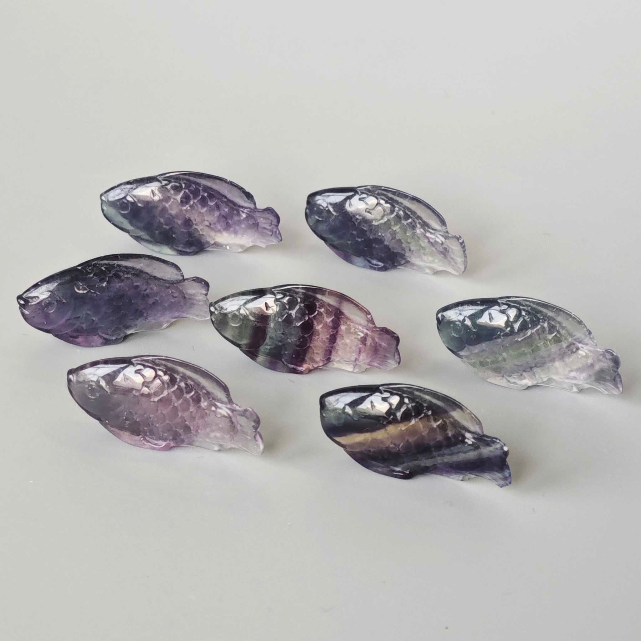 939afa1598897347493622867b0ca7e2-1 Blue Purple Rainbow Fluorite Fish#2 1 inch (2.5cm) A+/AA