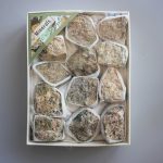 Peridot Rough Box Set 40x135x175mm A