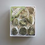Epidote Rough Box Set 40x85x100mm A