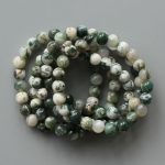 Tree Agate Round Bracelet 18cm 8mm A/B