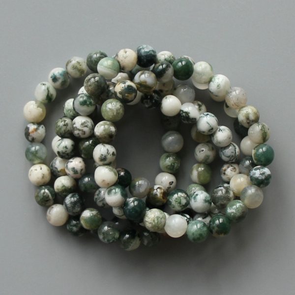 Tree Agate Round Bracelet 18cm 8mm A/B