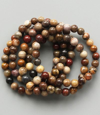 Petrified Wood Round Bracelet 18cm 8mm A