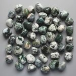Tree Agate Tumble Stone 20/30mm A