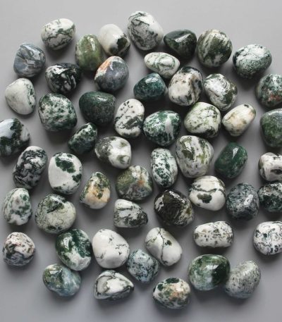 Tree Agate Tumble Stone 20/30mm A