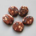 Birds Eye Jasper Smooth Stone 1.6 inch (0.8-1 x 3.5-4.5cm) A