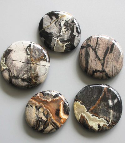 Silver Leaf Jasper Smooth Stone 1.6 inch (0.8-1 x 3.5-4.5cm) A